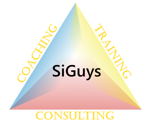 Triangle with SI Guys in the middle, Consulting on the Bottom, Training on upper right, and coaching on upper left